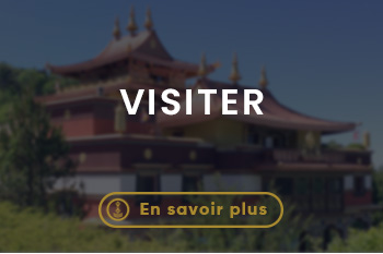 Lerab ling montpellier (1)