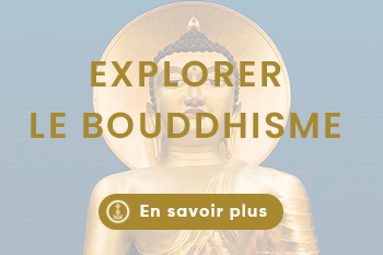 Lerab ling montpellier (10)