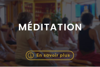 Lerab ling montpellier (11)