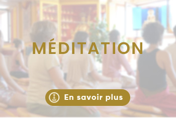 Lerab ling montpellier (12)