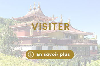 Lerab ling montpellier (2)