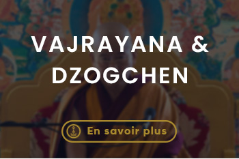 Lerab ling montpellier (5)