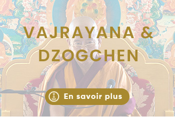 Lerab ling montpellier (6)