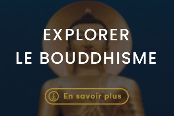 Lerab ling montpellier (9)