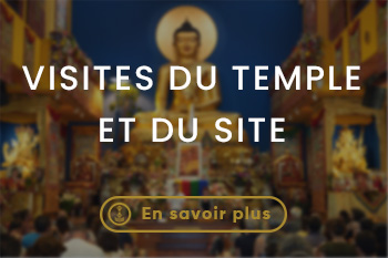 Lerab ling visiter montpellier (2)