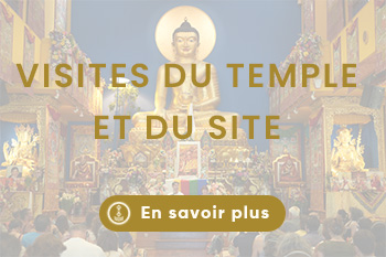 Lerab ling visiter montpellier (3)