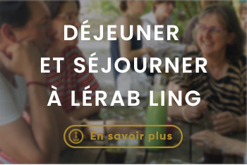 Lerab ling visiter montpellier (4)