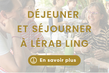 Lerab ling visiter montpellier (5)