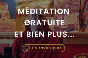 Lerab ling visiter montpellier (6)