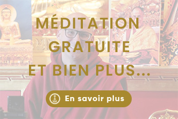 Lerab ling visiter montpellier (7)