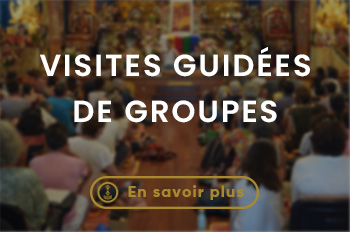 Lerab ling visiter montpellier (8)