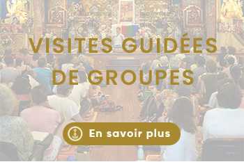 Lerab ling visiter montpellier (9)