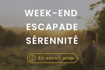 Sejour a lerab ling (3)