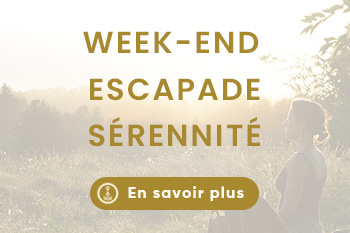 Sejour a lerab ling (4)