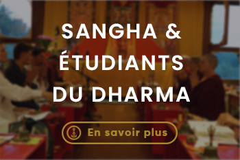 Sejour a lerab ling (5)