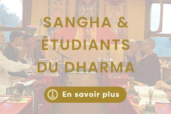 Sejour a lerab ling (6)