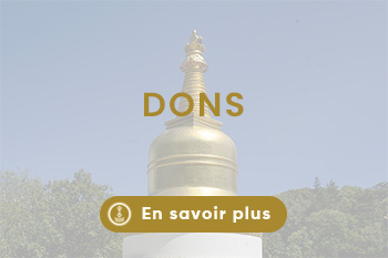 Vajrayana lerab ling (1)