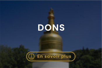 Vajrayana lerab ling (4)